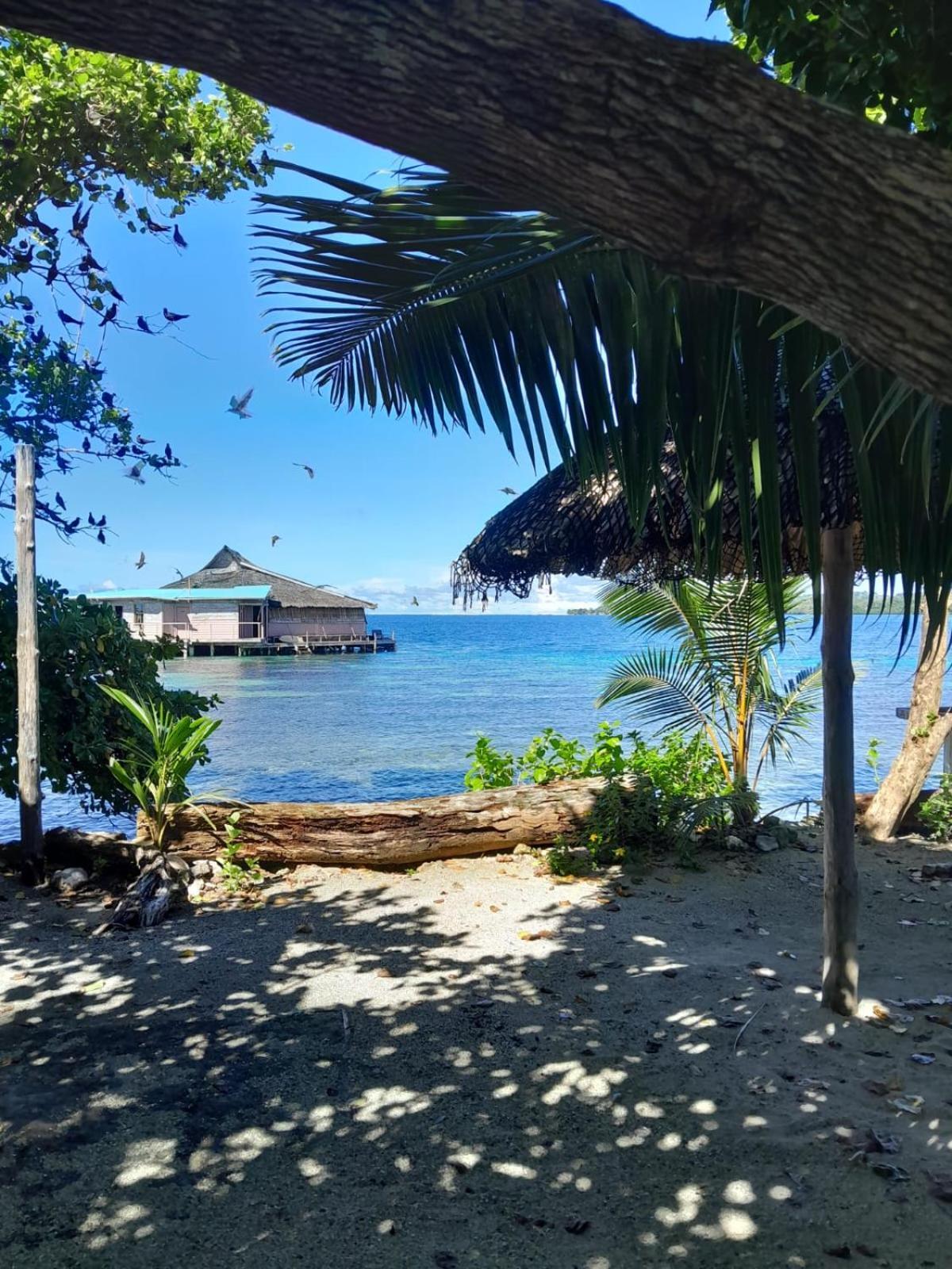 Imagination Island Eco Resort Gizo Dış mekan fotoğraf
